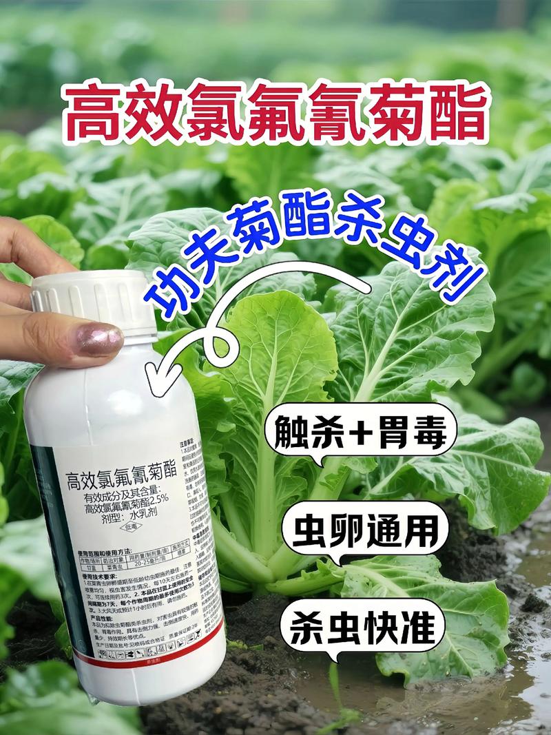 青浦代生中心:农药对供卵代生妈妈的危害